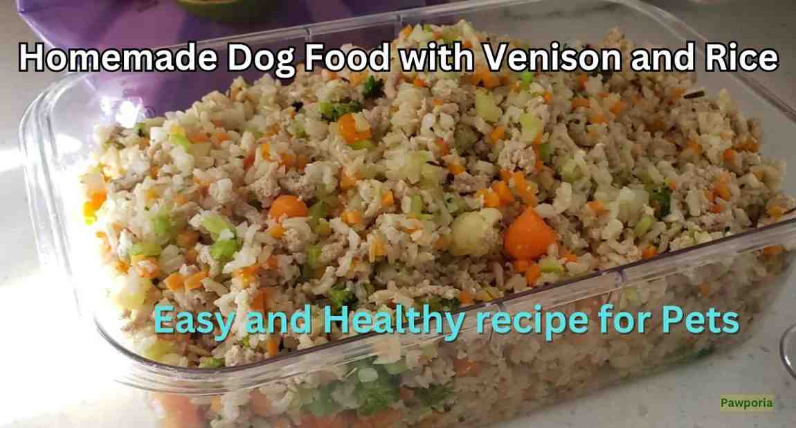 Easy and healthy homemade dog food with venison and rice recipe h