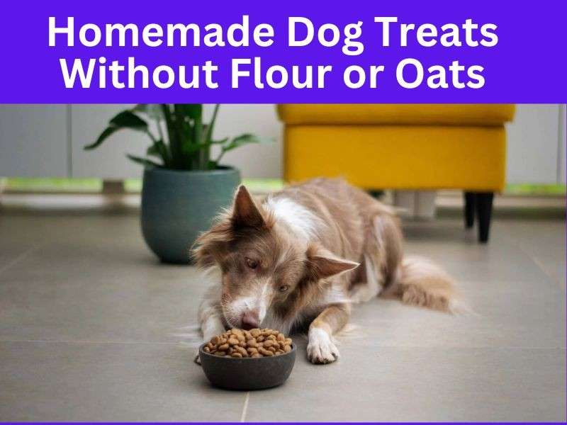 Homemade Dog Treats Without Flour or Oats