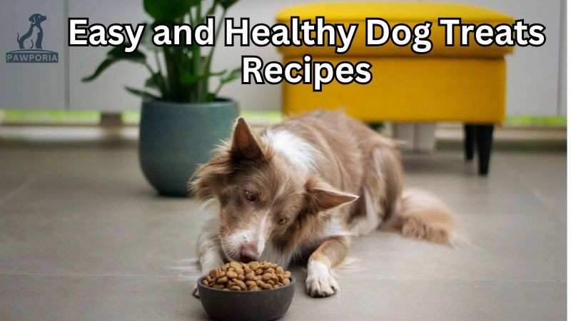 homemade treats for dogs with sensitive stomachs