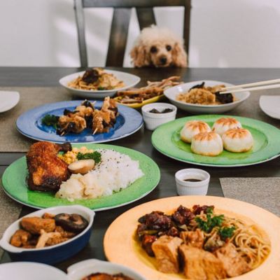 homemade dog food for senior diabetic dogs