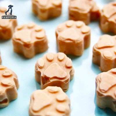 homemade treats for dogs with sensitive stomachs