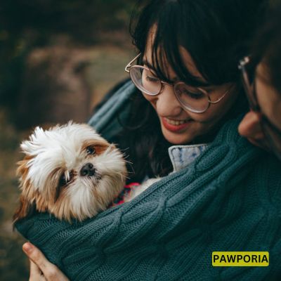 best homemade food for shih Tzu puppy