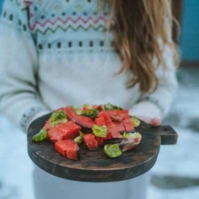 homemade dog food recipes