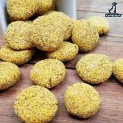 homemade treats for dogs with sensitive stomachs