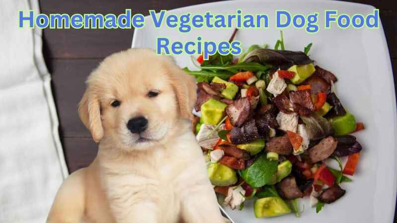 Homemade Vegetarian Dog Food Recipes