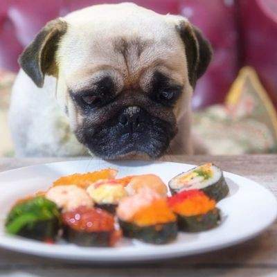 low phosphorus foods for dogs homemade