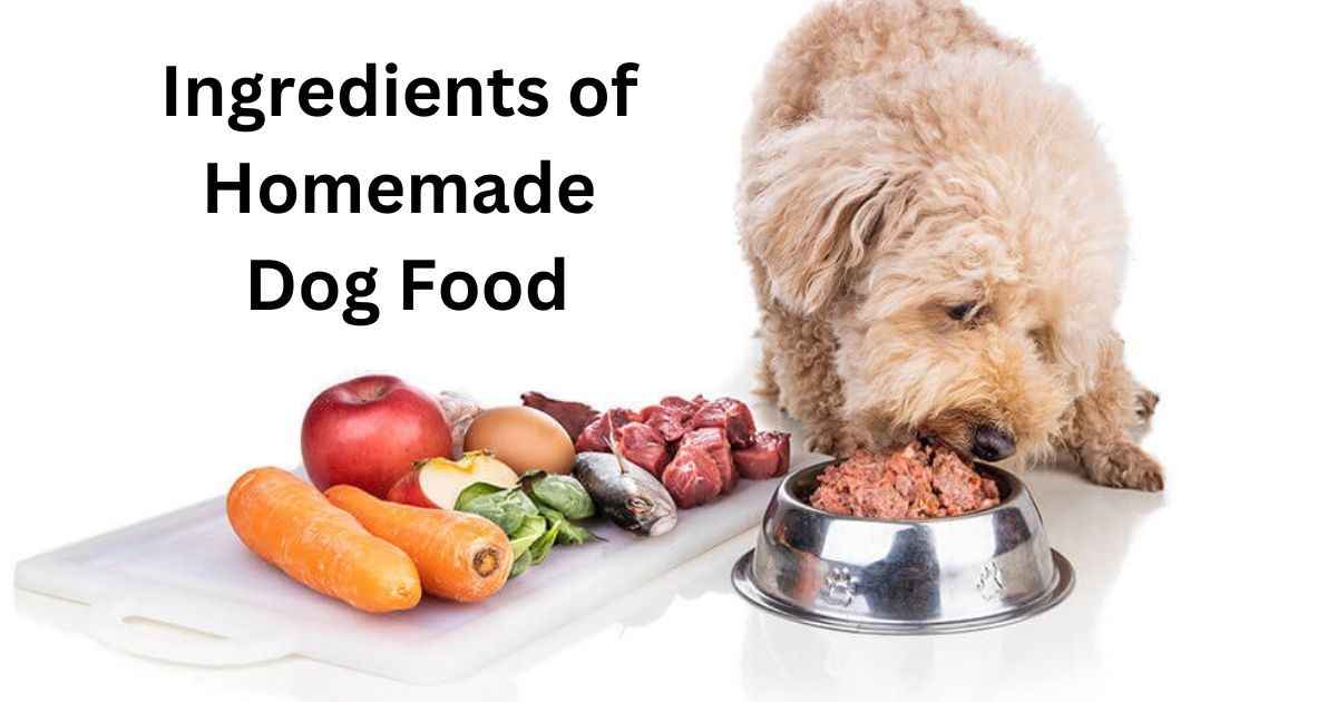 What are the most important ingredients in homemade dog food