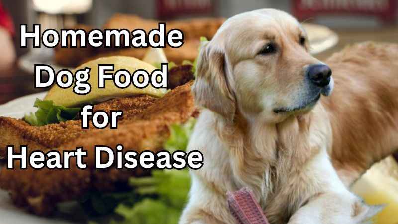 best homemade dog food for heart disease