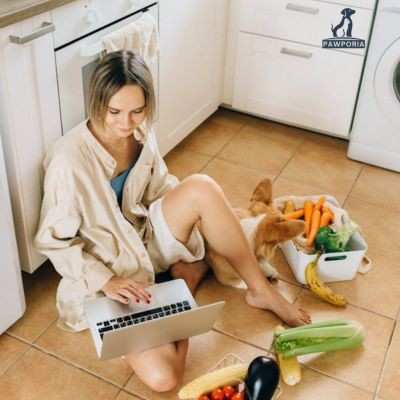 what to feed a senior dog to gain weight